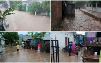 Banjir dan Pohon Tumbang Landa Kota Bima, 15 Kelurahan Terendam - Kabar Harian Bima