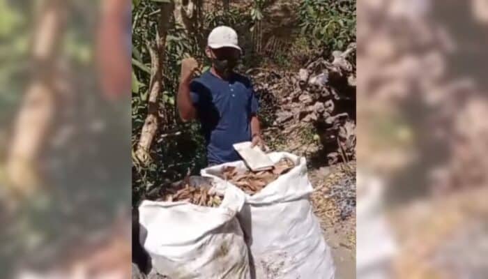 DLH Kota Bima Bersihkan Sampah Kering, Antisipasi Bahaya Kebakaran Musim Kemarau