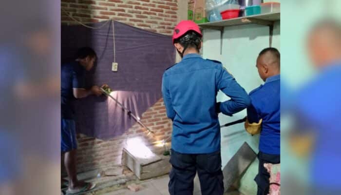 Damkar Kota Bima Evakuasi Ular Cobra dari Dapur Warga Sadia
