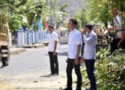 Pohon Tumbang Hantam Mobil, Plt Kepala DLH Kota Bima Gaspol ke Lokasi