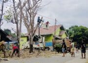 Aksi Cepat DLH dan Damkar, Pohon Rawan Tumbang Dipangkas untuk Keselamatan Warga