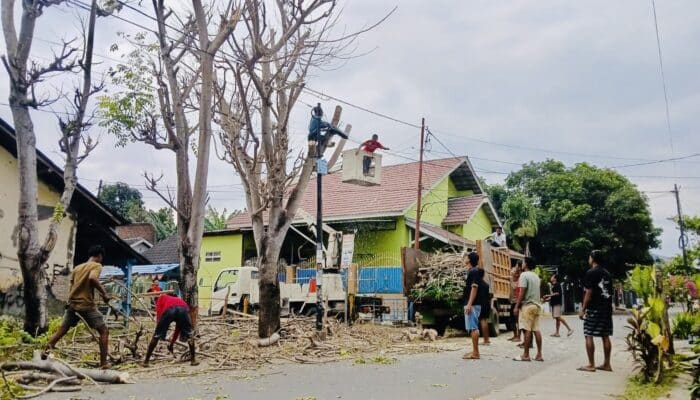 Aksi Cepat DLH dan Damkar, Pohon Rawan Tumbang Dipangkas untuk Keselamatan Warga
