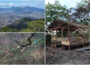 Hutan Rusak 80 Persen, Bencana Banjir Kota Bima Lebih Parah dari 2016 Mengintai