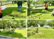 DLH Hari Ini Lapor Resmi Perusak Taman Batas Kota, Minta Polisi Usut Tuntas