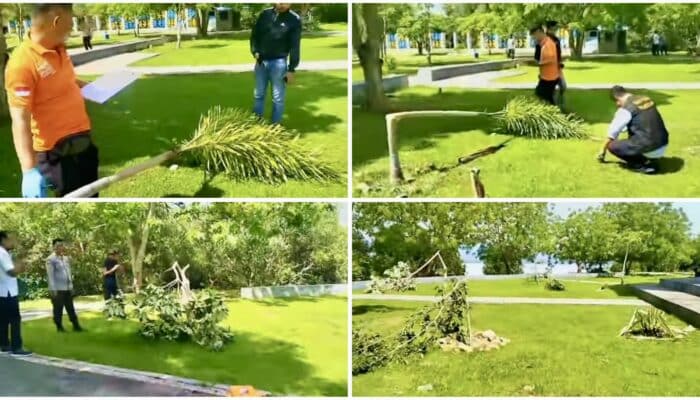 DLH Hari Ini Lapor Resmi Perusak Taman Batas Kota, Minta Polisi Usut Tuntas