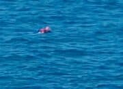 9 Pemancing Hanyut Dihantam Ombak Tinggi di Langgudu, 1 Orang Dikabarkan Hilang