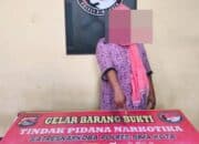 Bukan Barang Dapur, IRT Ini Simpan 16 Paket Sabu-Sabu di Rumah Orang Tuanya