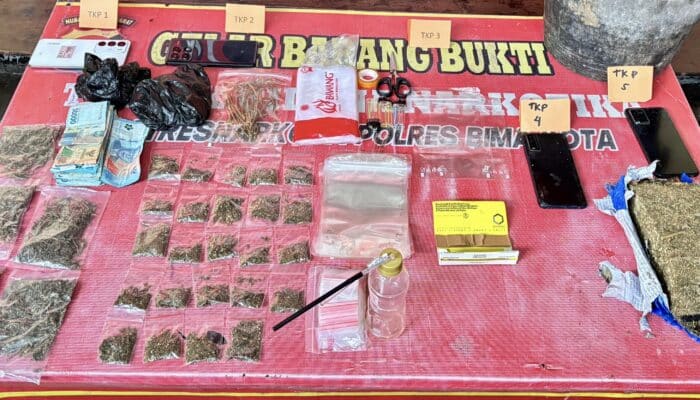 Pemain Lama Diringkus, Polisi Amankan Setengah Kilo Ganja dan 5 Pengedar