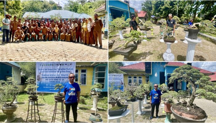 71 Peserta Ramaikan Pameran Bonsai Kelurahan Penatoi, Bangkitkan Ekonomi Kreatif