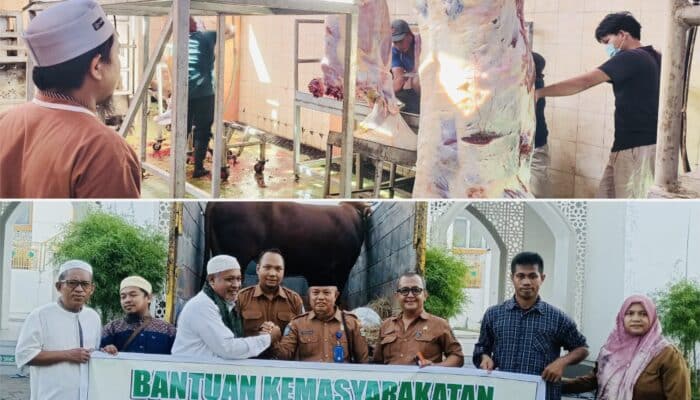 Sapi Kurban Bantuan Presiden Tiba di Kota Bima, Dinas Pertanian Pantau Pemotongan dan Penyalurannya