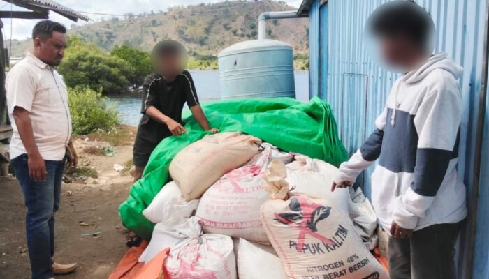 Polisi Ringkus Kawanan Pencuri Jagung di Pelabuhan Bima, 2 Pelaku Lain Diburu