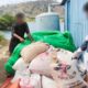 Polisi Ringkus Kawanan Pencuri Jagung di Pelabuhan Bima, 2 Pelaku Lain Diburu