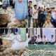 Peletakan Batu Masjid Al Hikmah, Wali Kota Bima Ajak Warga Ramaikan Salat Berjamaah