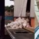 Gempa Guncang Kota Bima, 2 Rumah Rusak dan Dinding Gudang Bulog Jebol